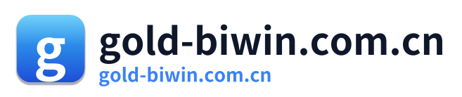 gold-biwin.com.cn